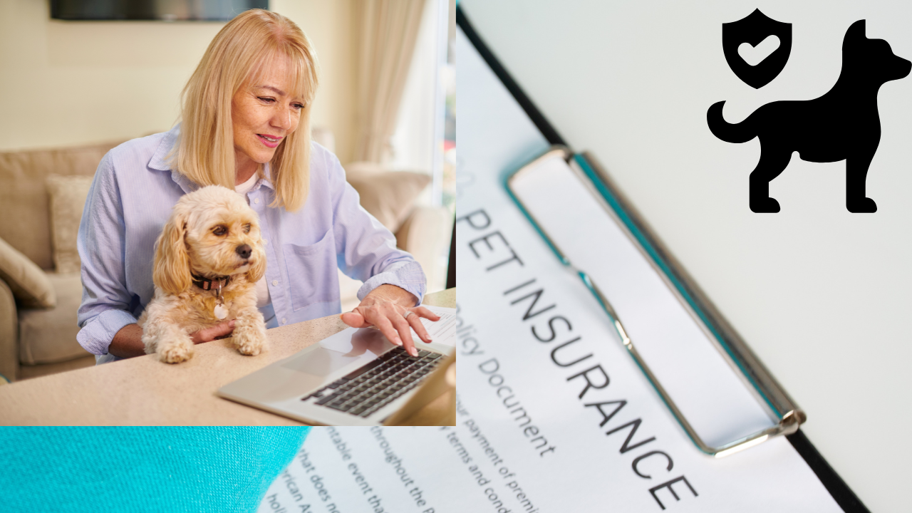 Pet Insurance, What Is Pet Insurance?, What All Does Pet Insurance Cover?,Detailed Coverage Areas,What All Does It Not Include?,Pet Liability Coverage,How Much Does A Pet Insurance Cost In India?