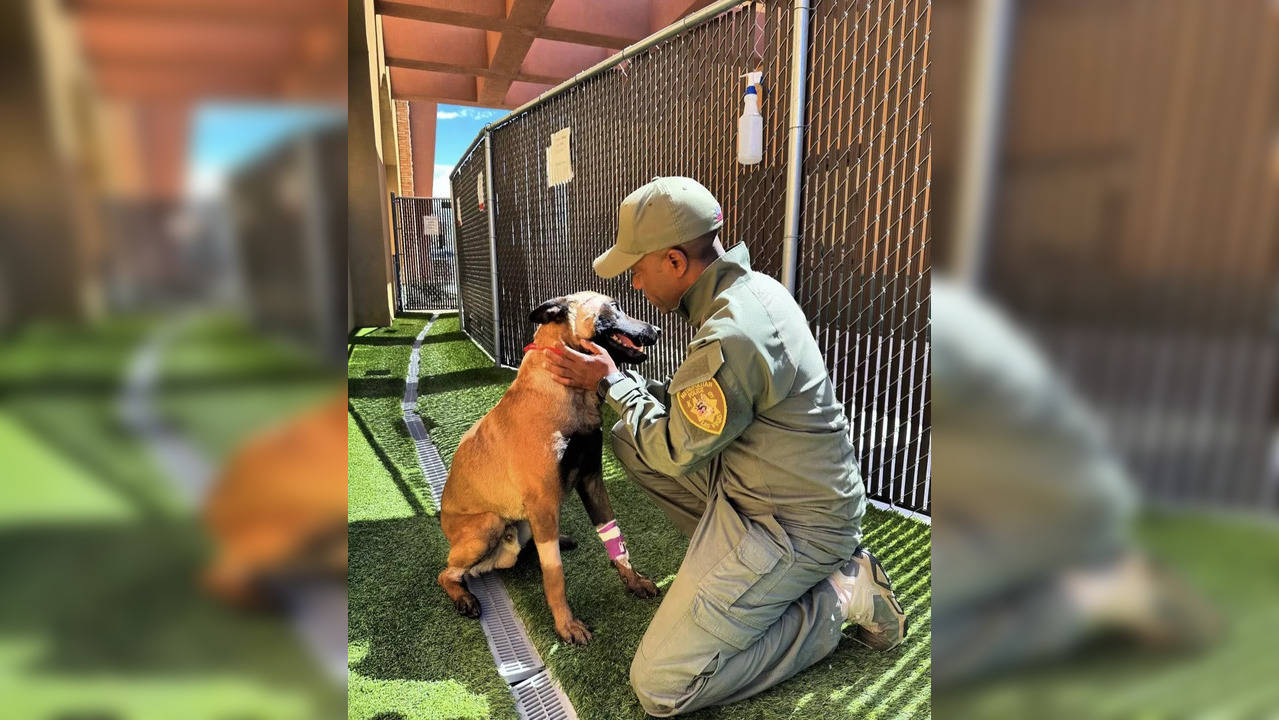 Enzo The K9 With His Handler