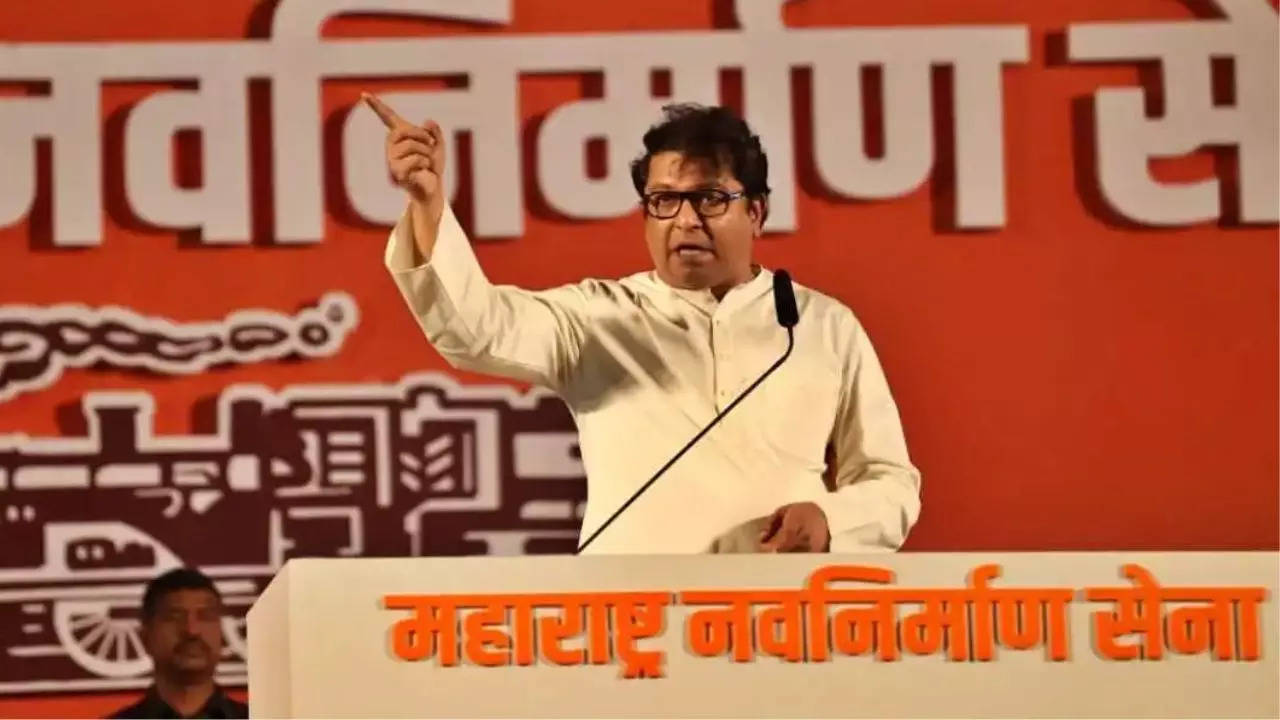 Raj Thackeray Speech