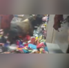 Jabalpur Bull Fight Viral Video Shows Beastly Bovines Run Riot Inside Shop