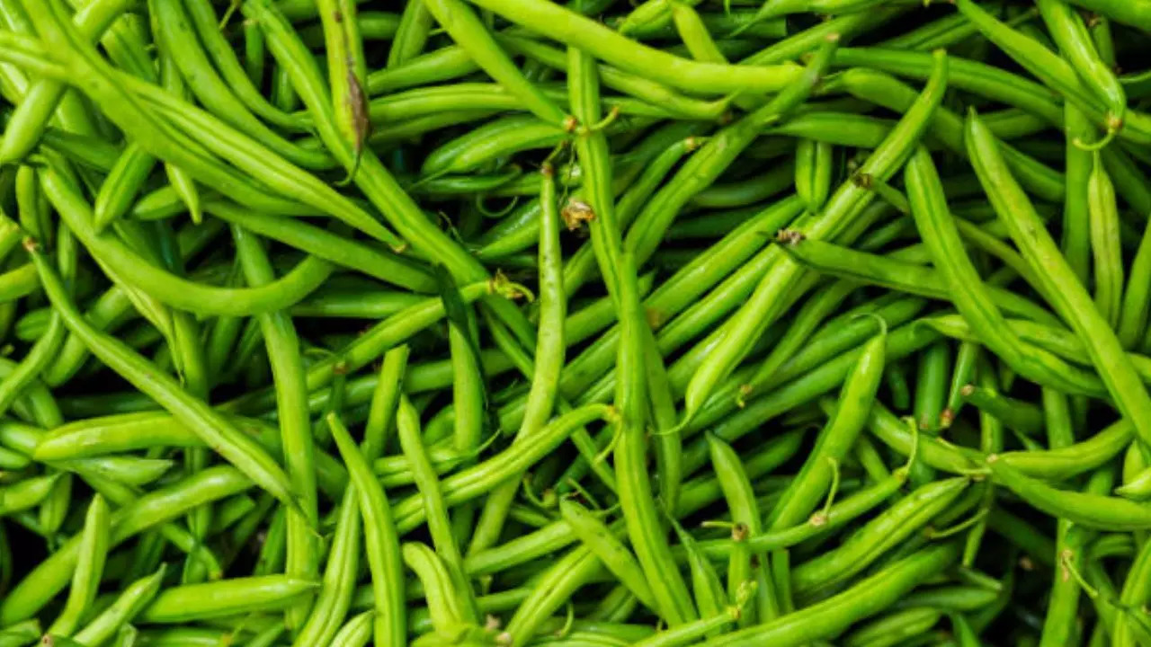 Nutritional Powerhouse: 5 Health Benefits Of Incorporating Beans Into Your Diet