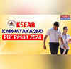 KSEAB Karnataka 2nd PUC Results 2024 Releasing Today on karresultsnicin kseabkarnatakagovin and these websites