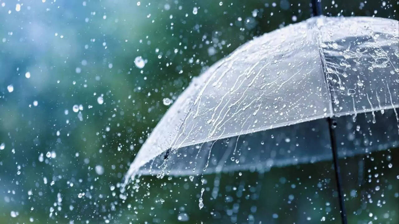  எத்தனையோ வரி கேள்வி பட்டிருப்பீங்க.. மழை வரி போடும் நாடு பற்றி தெரியுமா? 