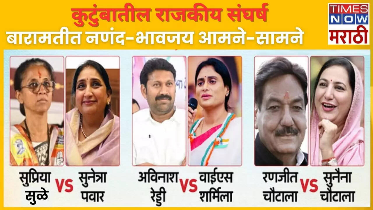 Family Fights In Lok Sabha Elections 2024 Baramati