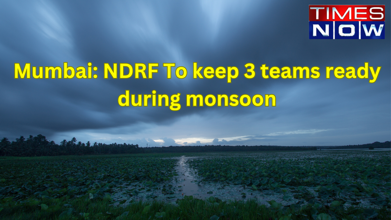 Preparedness for monsoon (Representational Image)