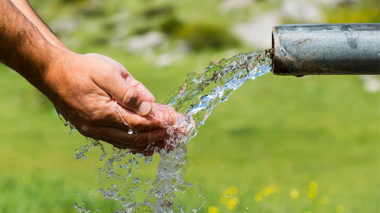 The board has banned the use of potable water for vehicle washing, gardening and large construction projects since March 10. (Representational Image)