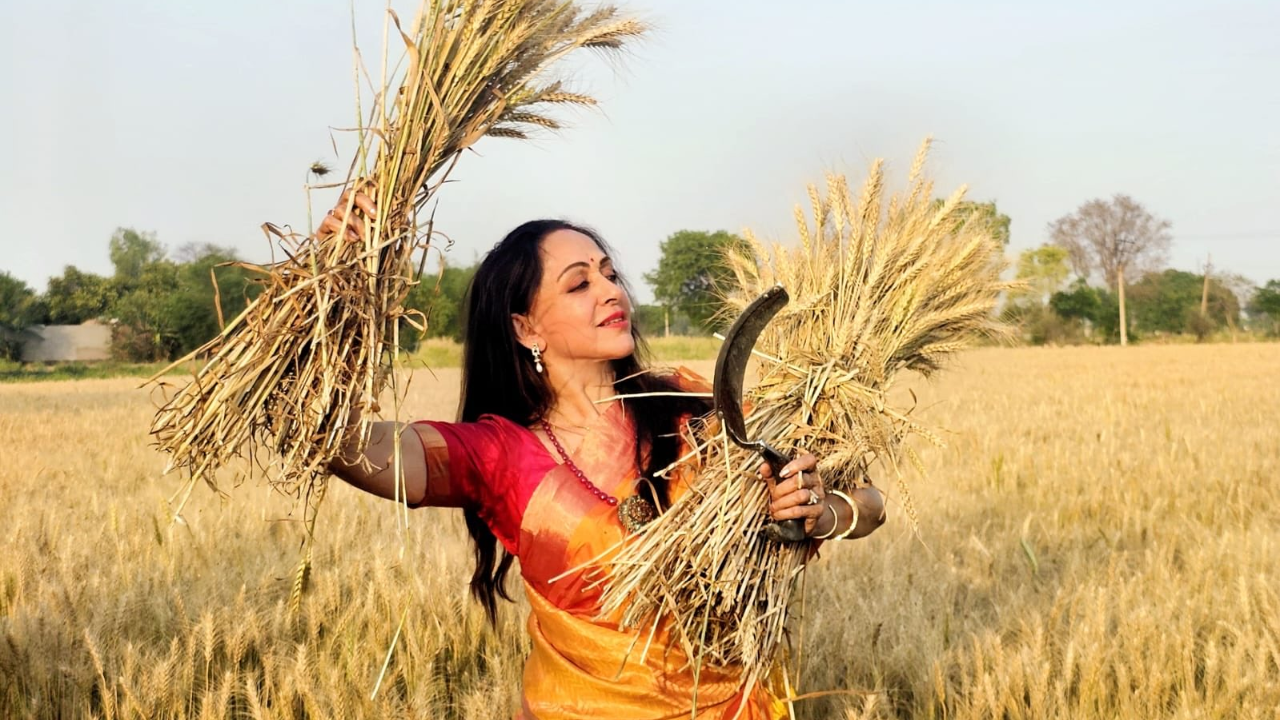 'Dream Girl' Hema Malini Harvests Wheat In Her Trademark Pose Ahead Of ...