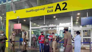 Chennai Airport How Smuggling of Exotic Wildlife Gold and Narcotics Is Being Detected