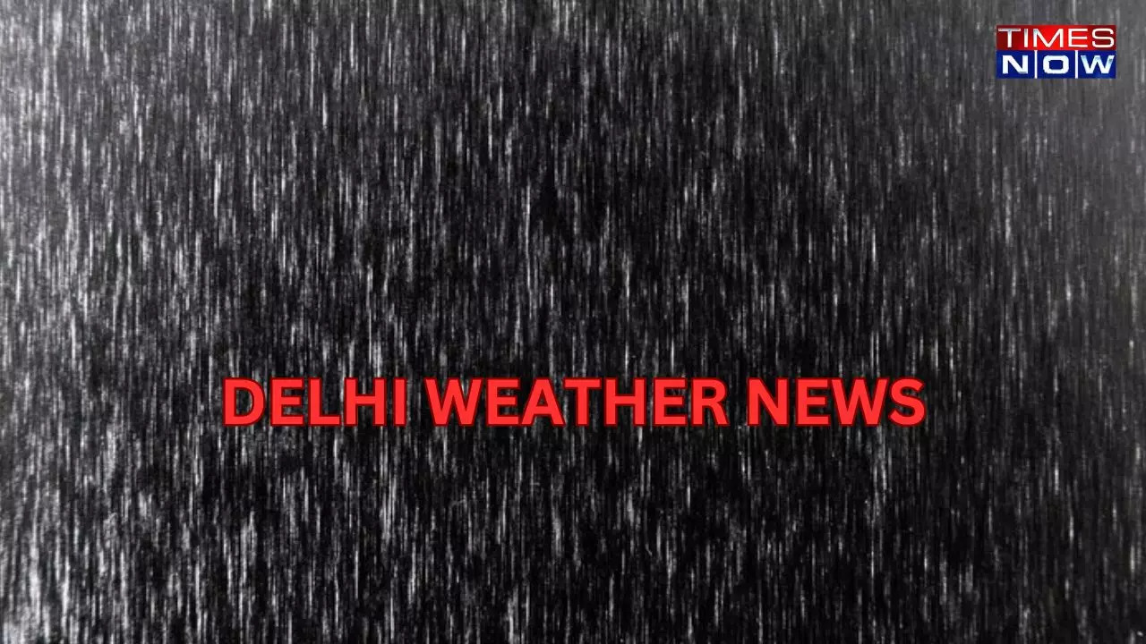 delhi weather (7)