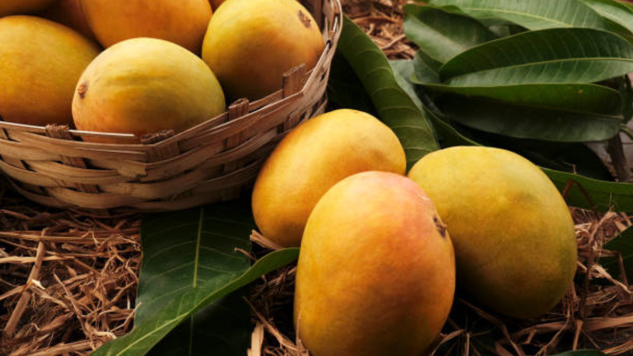 tips to identify real alphonso or hapus mango