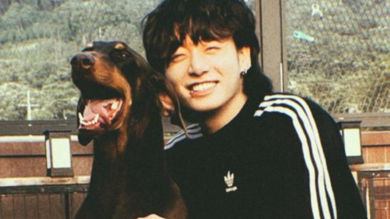 BTS' Jungkook Launches Instagram Account For Pet Dog Bam