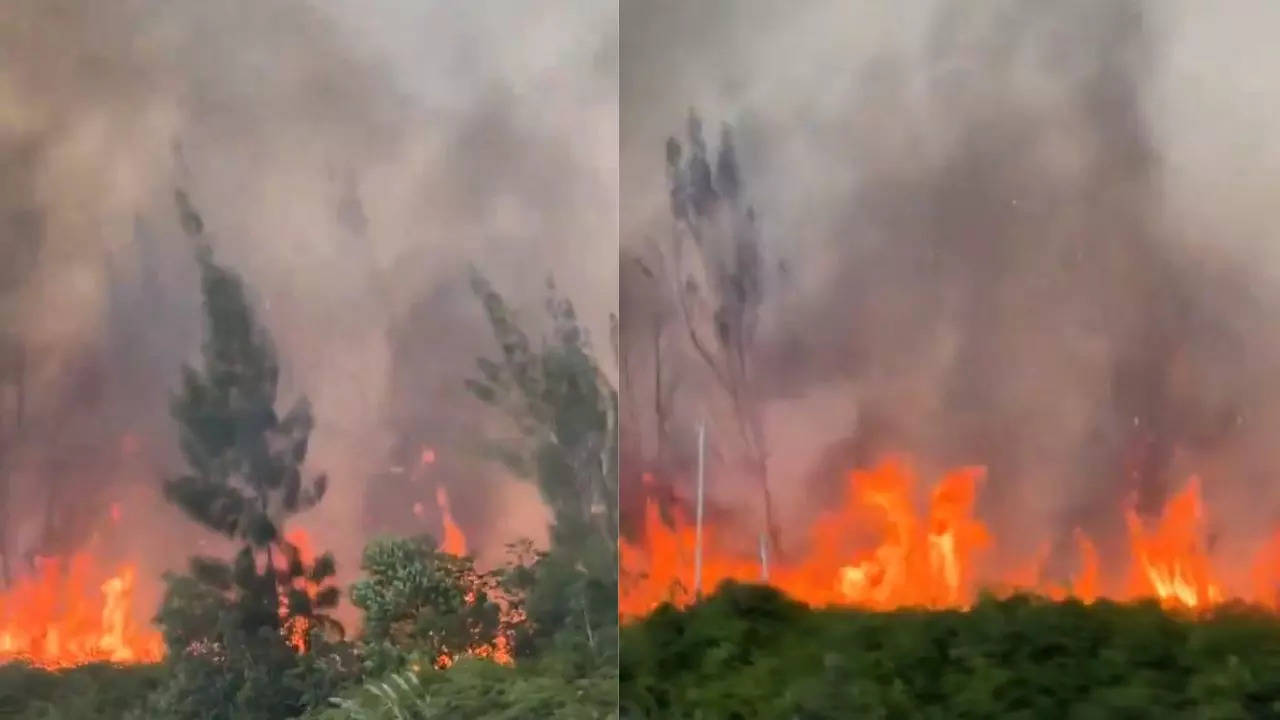 Miami-Dade Bush Fire: Gigantic Blaze And Smoke Cover Skies Of Southwest Miami | Video