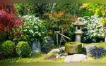 8 Feng Shui Garden Tips For Positive Energy