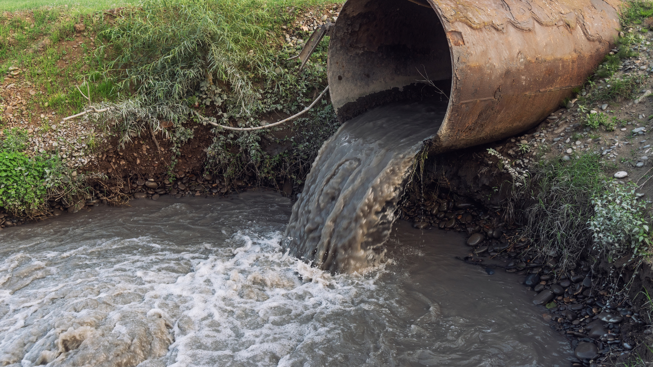 bengaluru river 