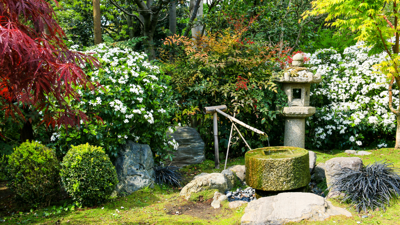 8 Feng Shui Garden Tips For Positive Energy