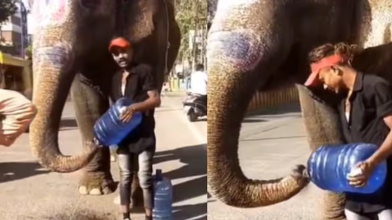 This Viral Video of a Thirsty Elephant's Rescue Will Melt Your Heart. Watch