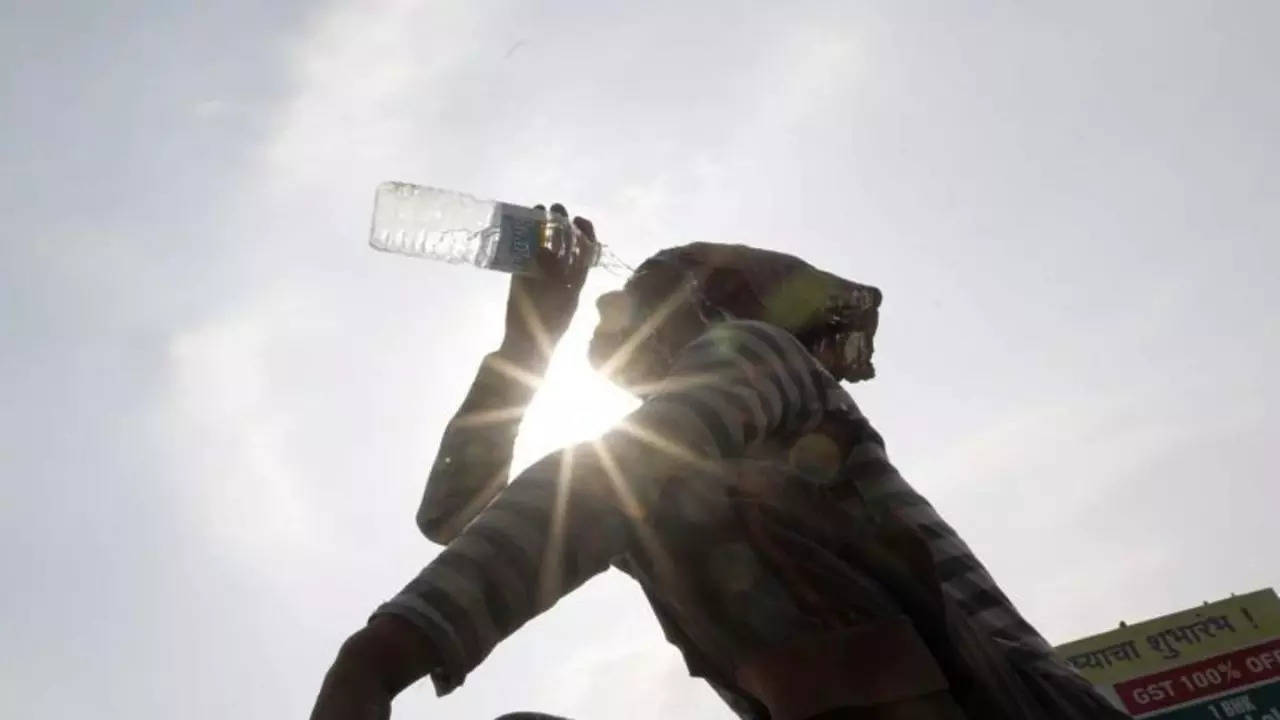 Heatwave Warning For Mumbai, Bengal, Goa; Respite For Delhi-NCR | Check Weather Forecast