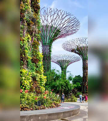 The Best Things to Do in Singapore For Free