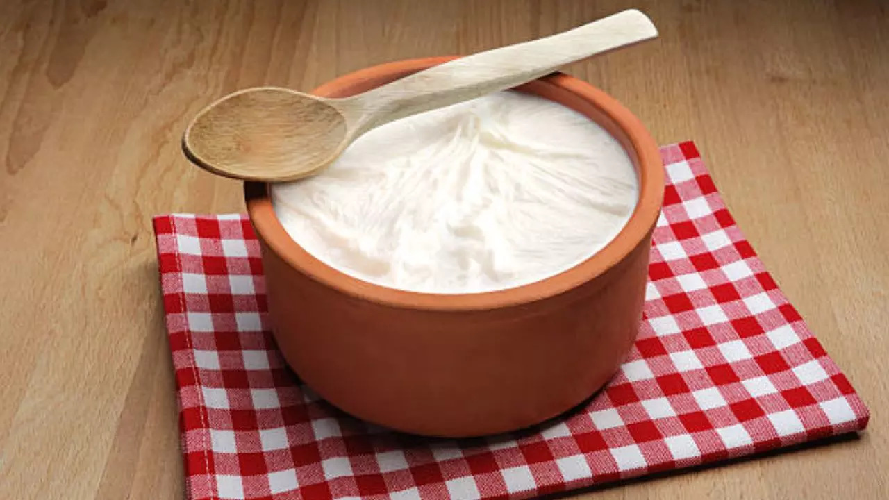 10 Reasons Why You Must Add Yogurt To Your Daily Diet