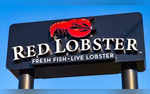 Red Lobster To File For Bankruptcy Amid Rising Financial Tensions Report