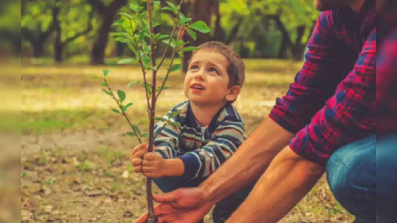 gardening