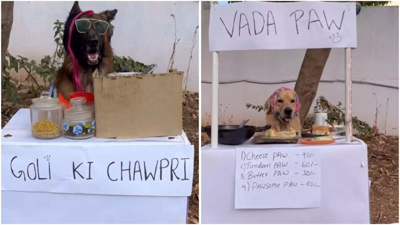 Viral videos show two dogs running their tea and vada pav stalls