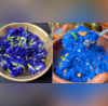 Video Showing Blue Coloured Avatar Biryani Goes Viral Netizens Say Chi