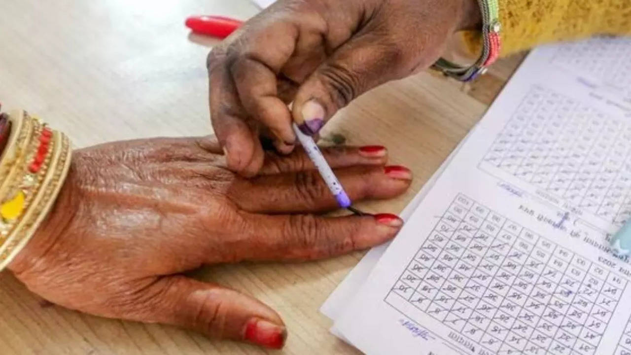 Chennai Lok Sabha Election 2024 Highlights: City's Voter Turnout Reaches 34 pc by 1 pm, Falls Below State Average