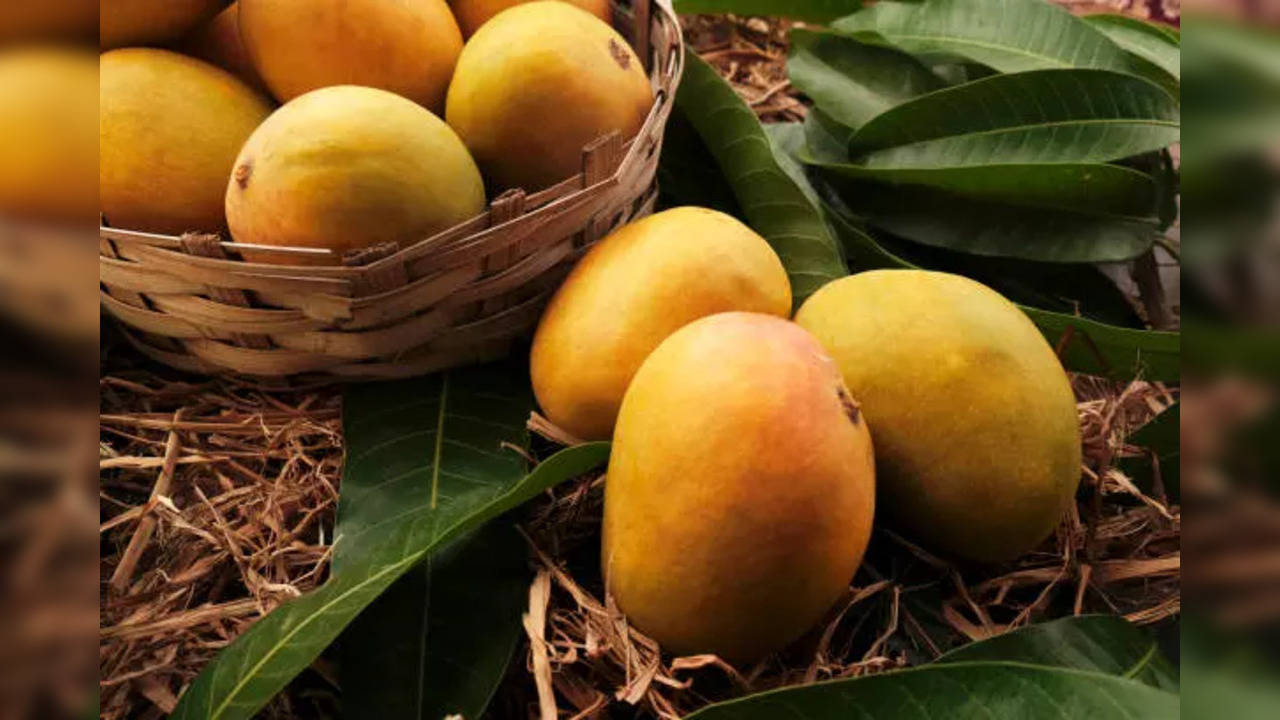 mangoes