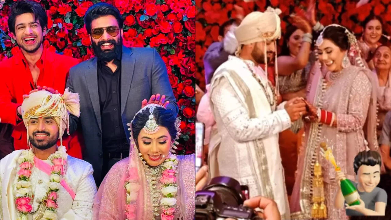 Chetna Singh-Rohit Handa Are Married, BB 17's Abhishek Kumar Attends - See 1st Wedding Pics