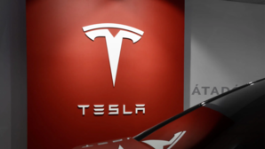Disheartening and Distressing Indian woman Laid Off At Tesla in US