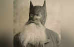 Wayne Bruce Truth Behind Bearded Masked Scotsman as Batmans Inspiration