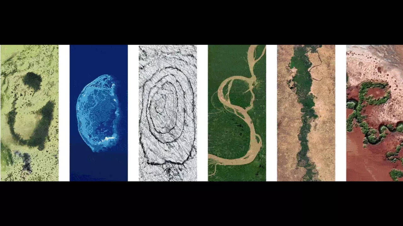 The 2024 Earth Day Google Doodle features satellite imagery of various ecosystems. | Courtesy: Google