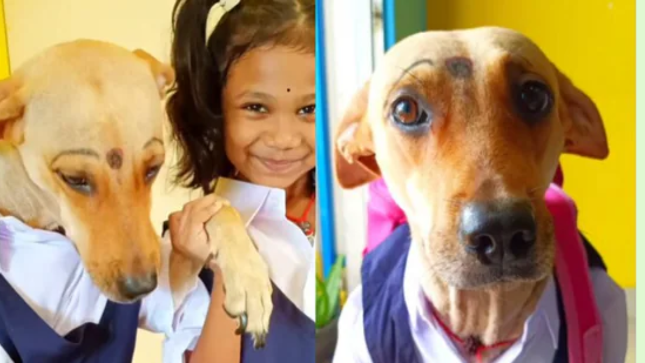 Watch | This Dog Twinning With Little Girl in Pinafore is too Adorable to  Miss | Times Now