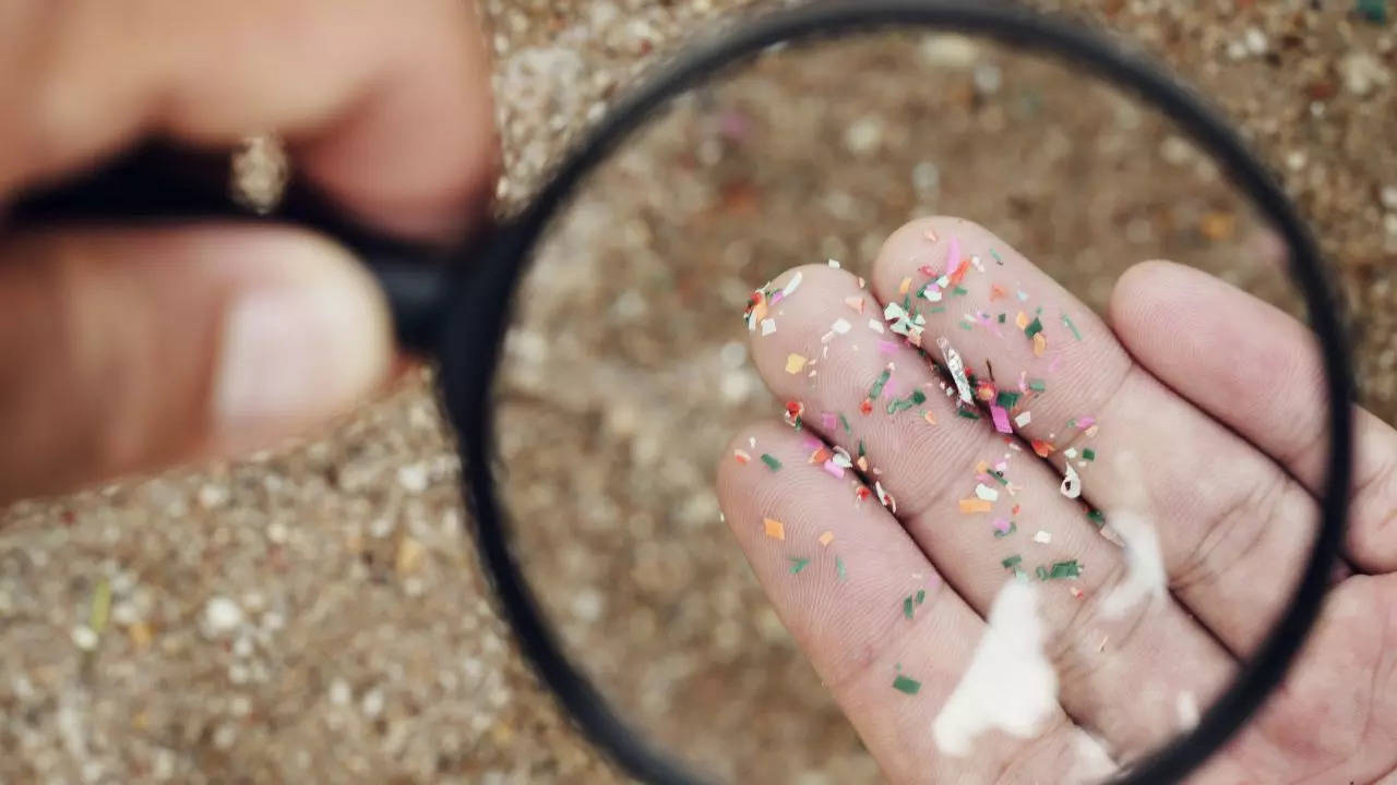 Microplastics In Food May Travel From Gut To Brain, Liver And Other Organs