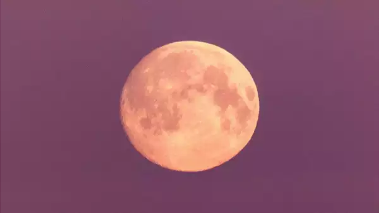 Pink Moon 