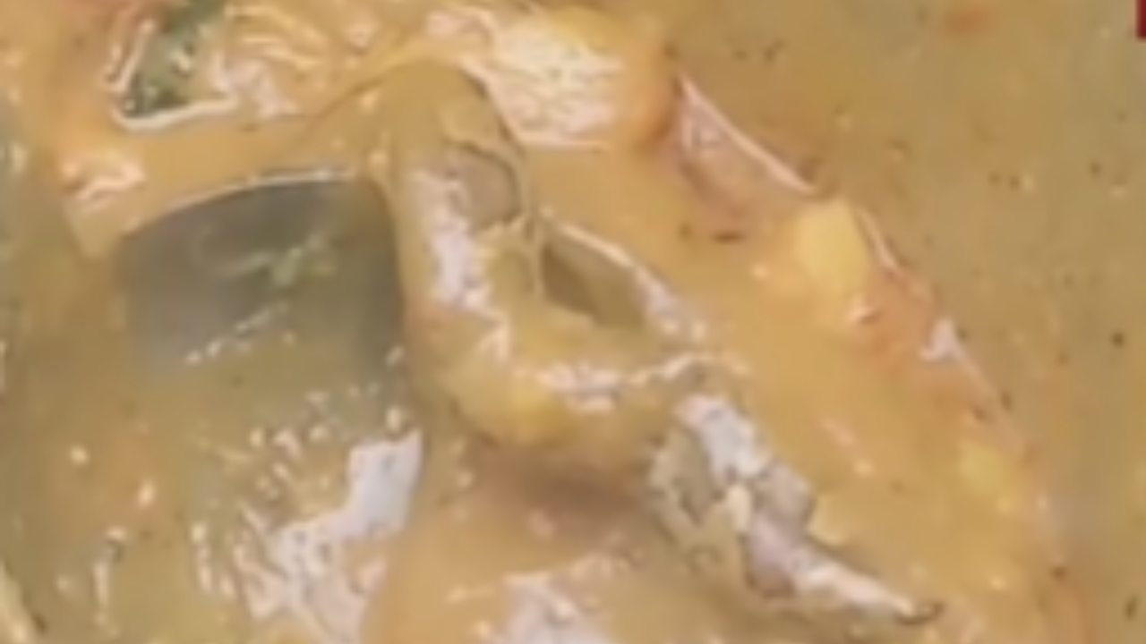 Scary Situation! Snake Found In Vegetable Curry