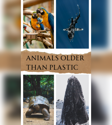 Earth Day 2024 5 Animals That Are Older Than Plastic