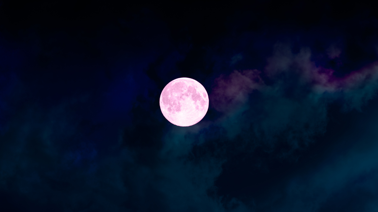 Pink Moon