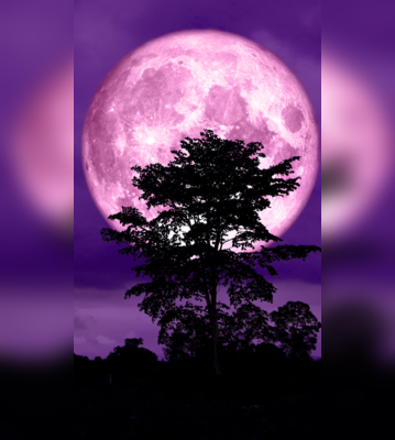 Pink Full Moon 2024 What Is It When And How To Watch Online