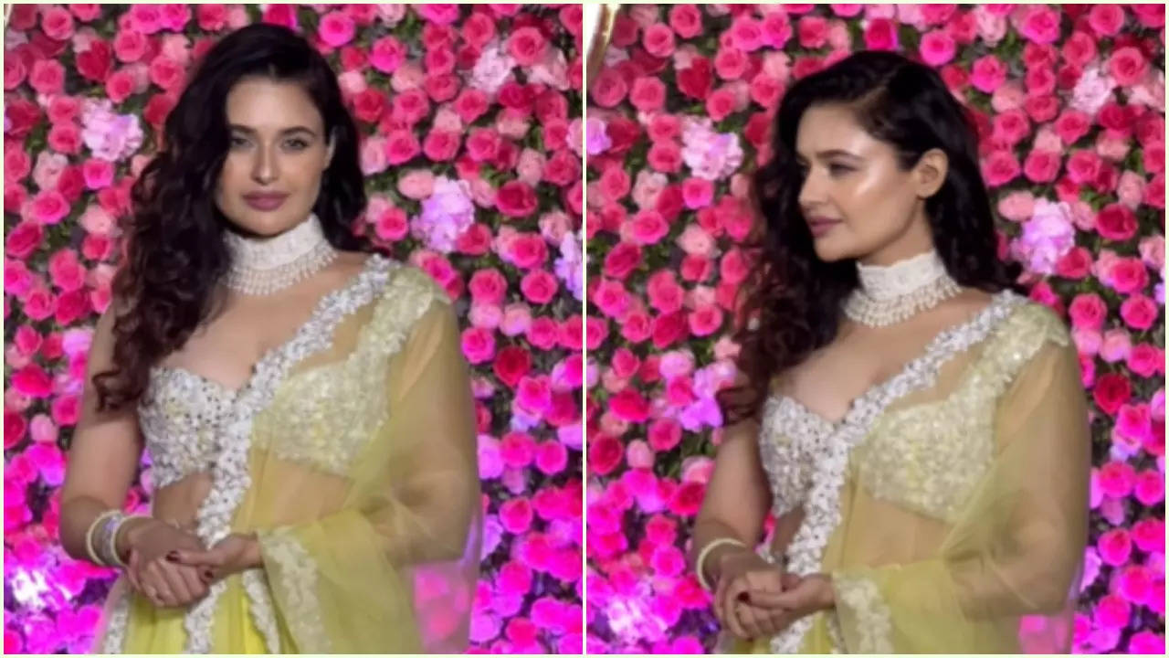 Arti Singh Sangeet: Yuvika Chaudhary Makes FIRST Appearance Post Pregnancy Chatter