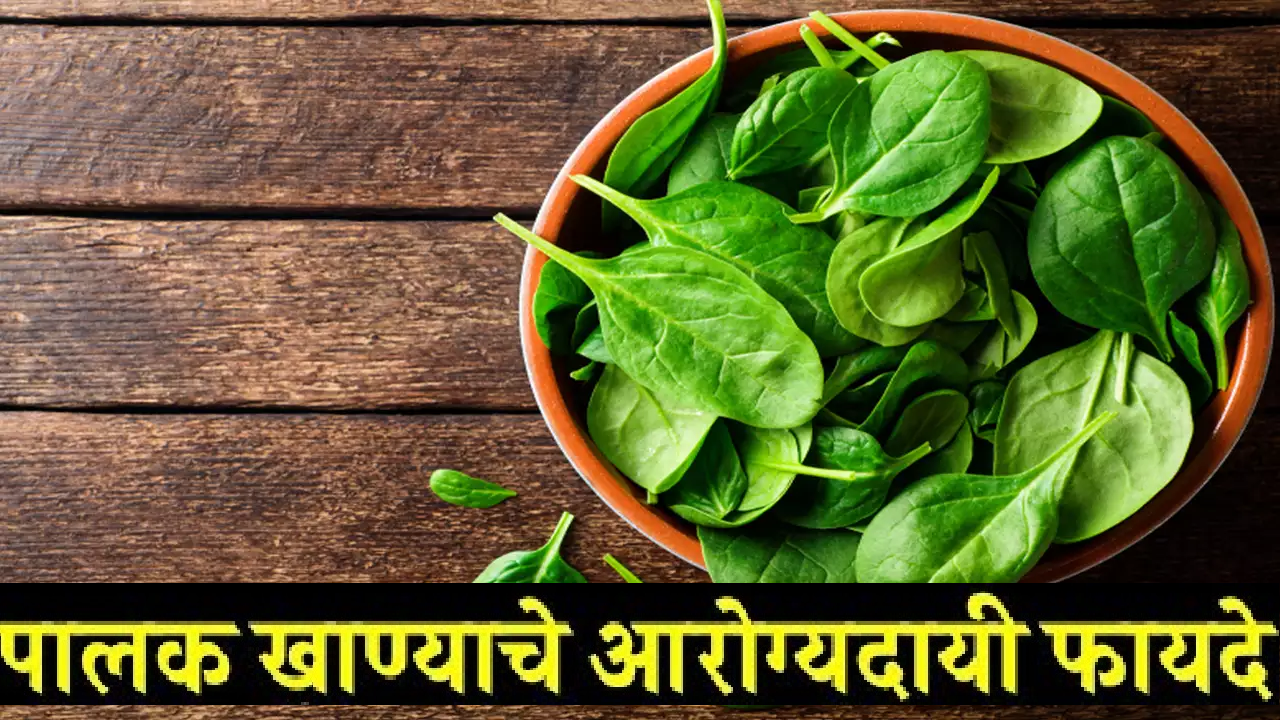 Spinach Health Benefits स्मरणशक्ती वाढवण्यापासून दृष्टी