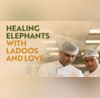 Chef Shares Recipe Of Sugar-Free Laddus from Anant Ambanis Vantara Elephant Kitchen  Viral Video