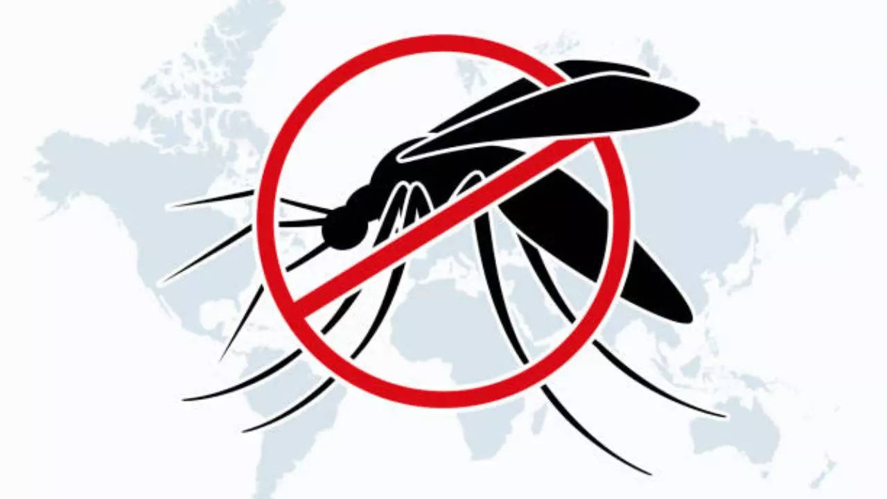 Factors That May Increase Risk For Malaria