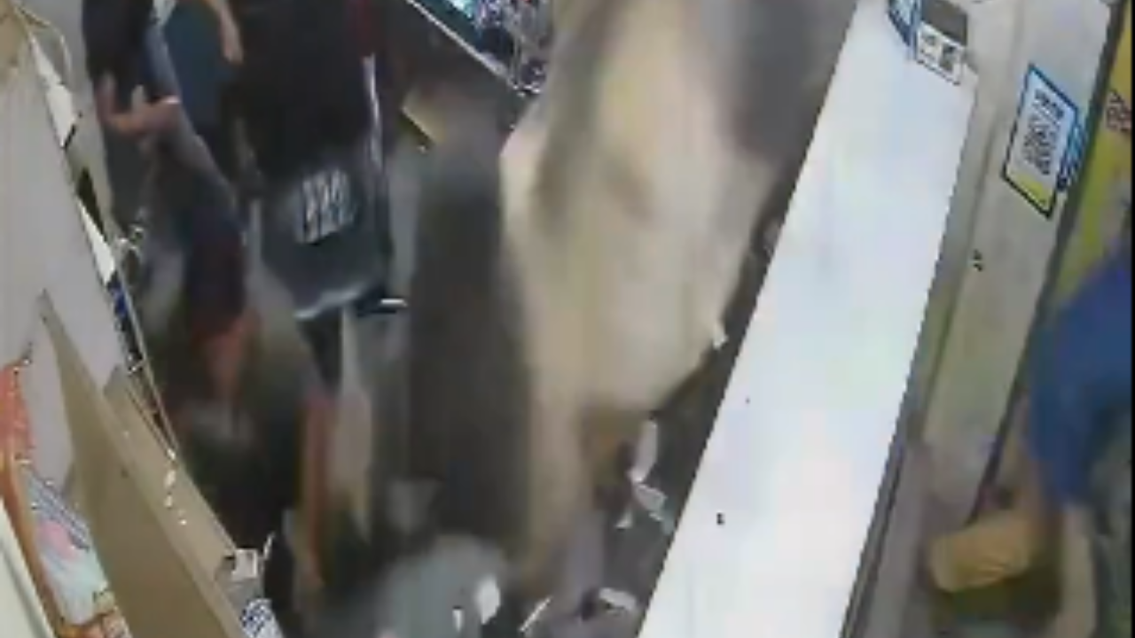 Bull Invades Delhi Mobile Shop, Workers Panic in Viral Video