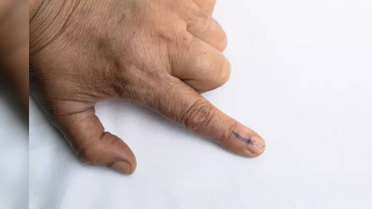 Lok Sabha Election 2024