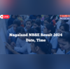 Nagaland Board Result 2024 Live NBSE HSSLC HSLC Result Class 10 12 Today on nbsenleduin
