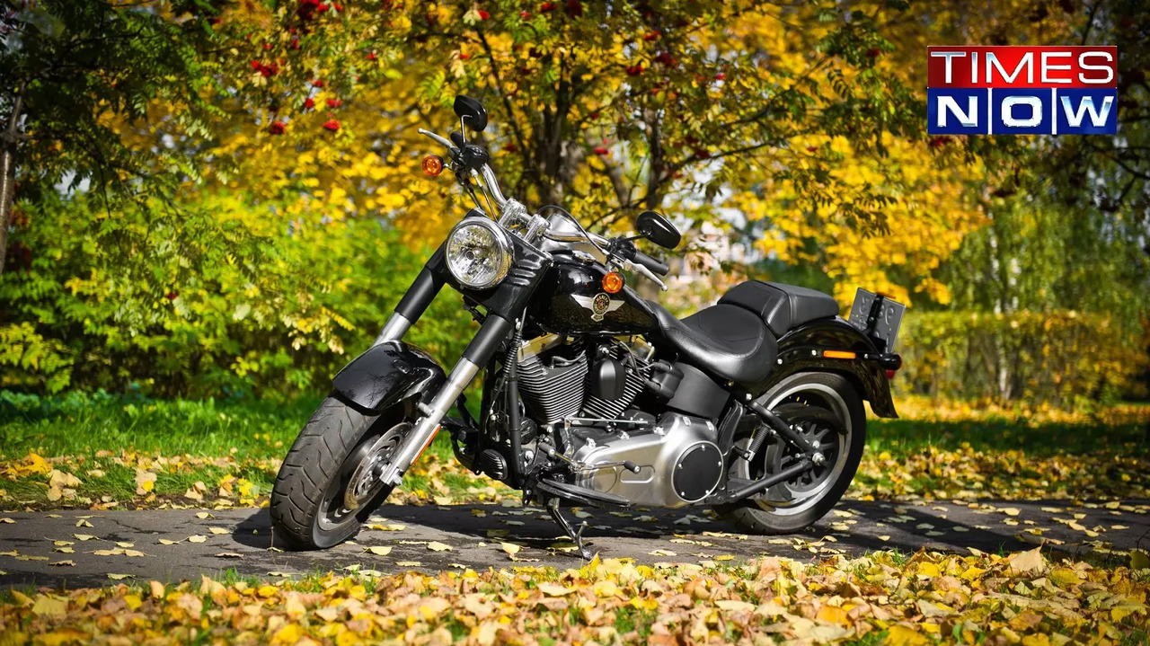 harley-davidson-motorcycle-2