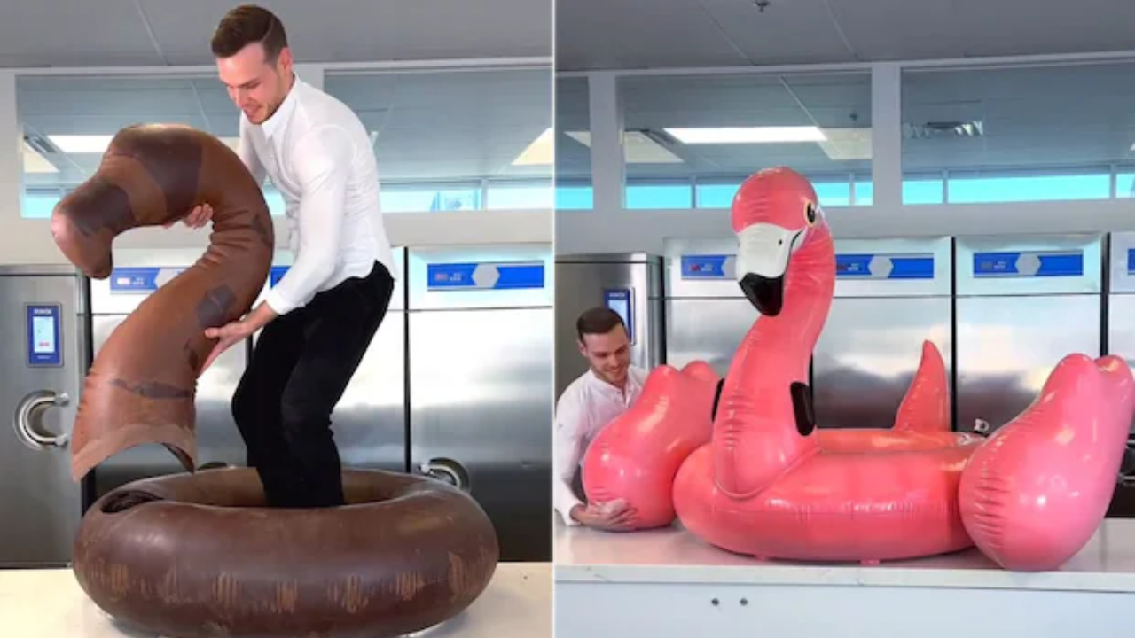 Viral Video: Lifesize Chocolate Flamingo Floatie Looks Too Real & Too Good To Eat. Watch