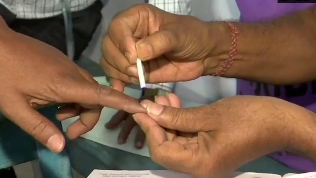 Lok Sabha Election 2024 (Representative Image)